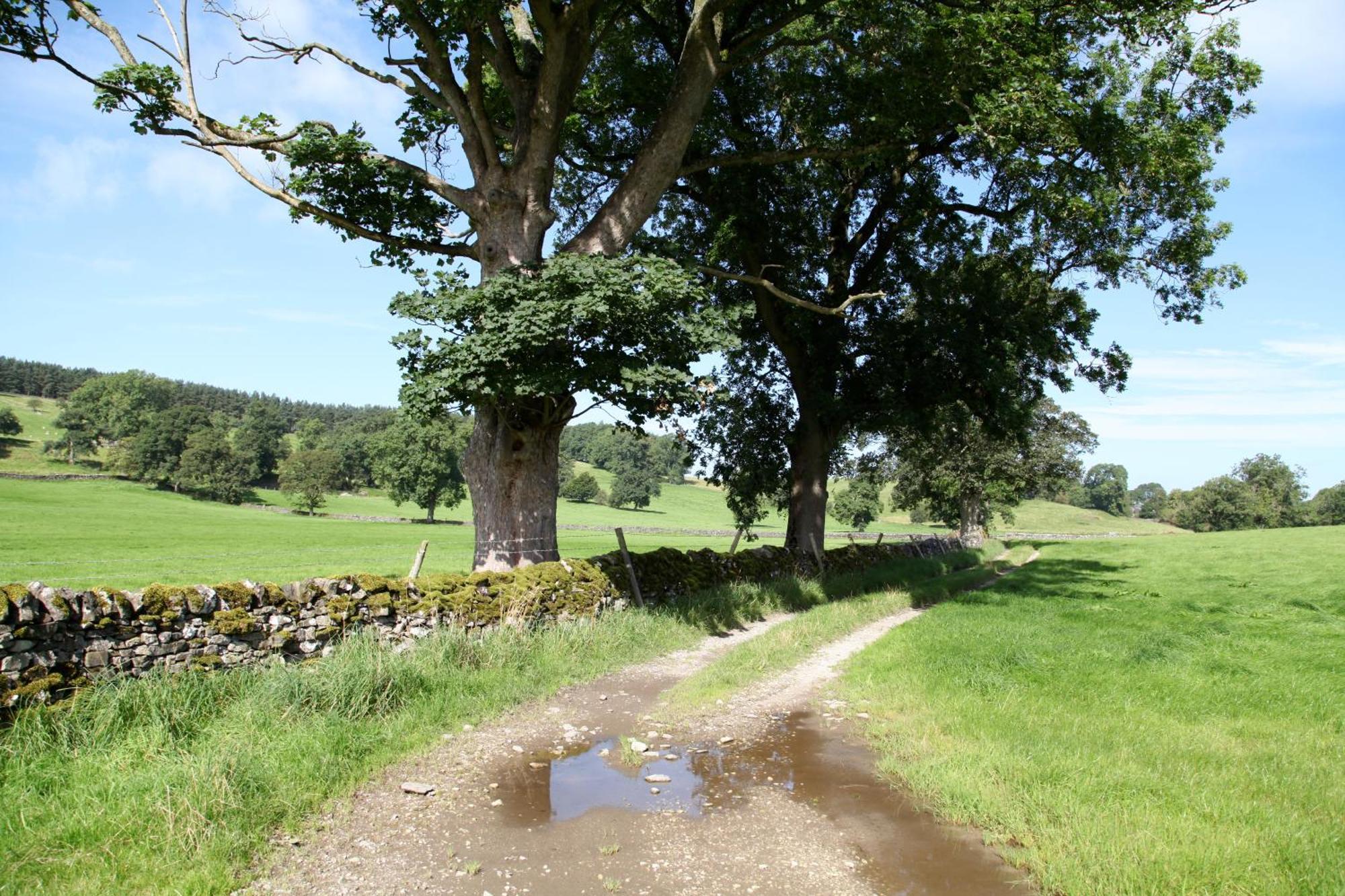Green Grove Country House Malham Exteriör bild