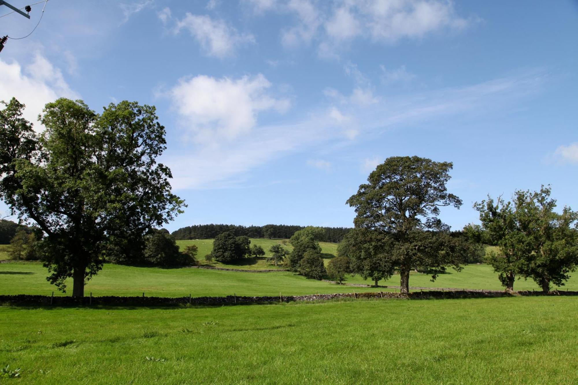 Green Grove Country House Malham Exteriör bild