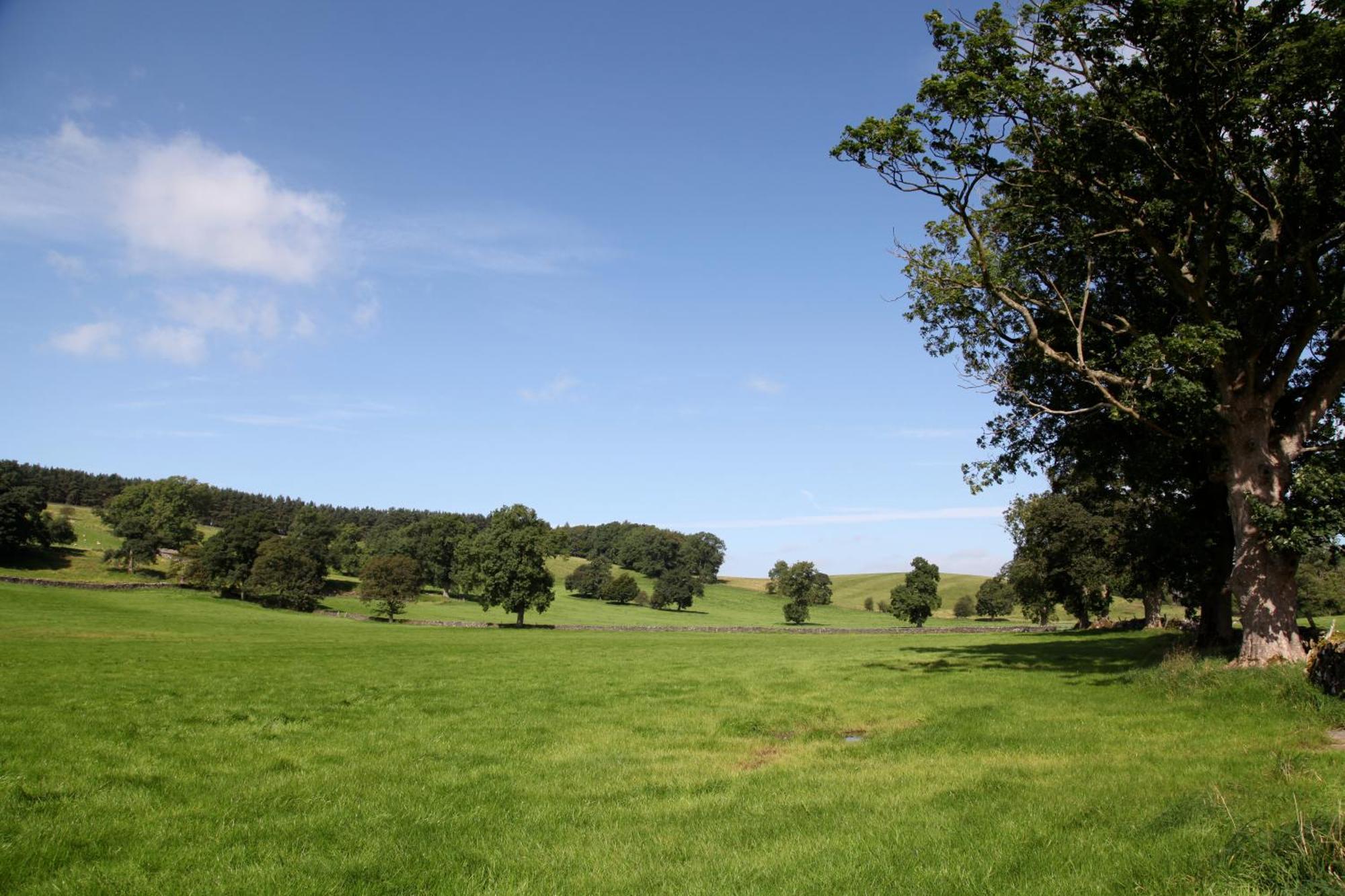 Green Grove Country House Malham Exteriör bild